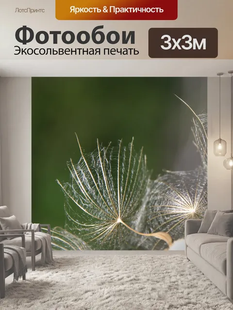 Фотообои Одуванчик