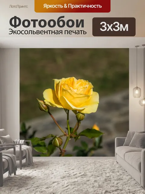 Фотообои Роза
