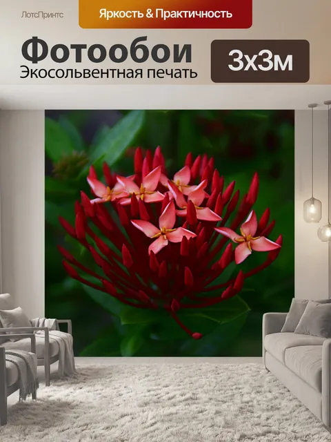 Фотообои Santan