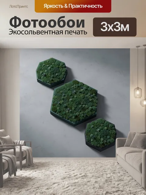 Фотообои Три флорариума с суккулентами