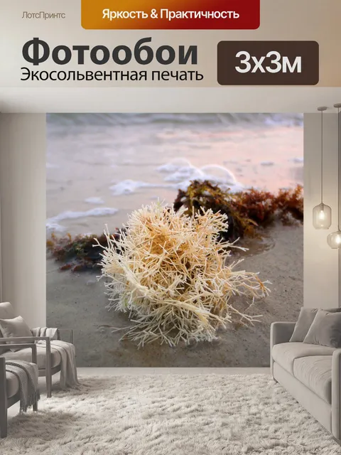Фотообои Пляж