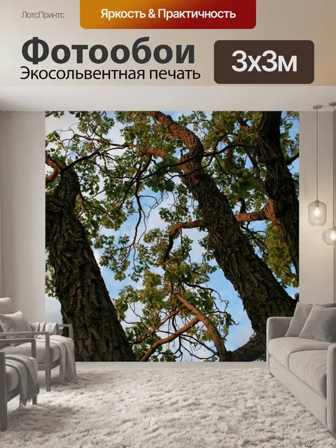 Фотообои Японские изюмом дерева