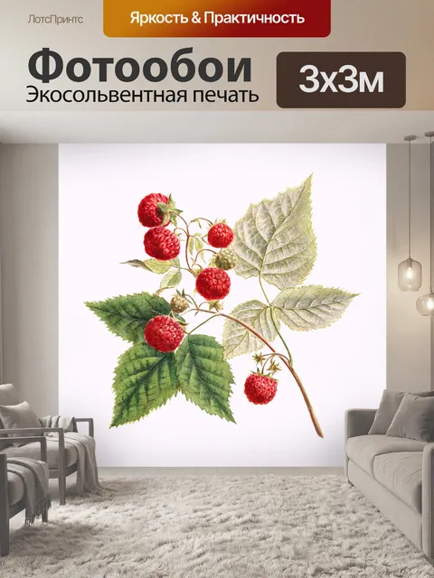 Фотообои Винтажные фрукты фруктовые иллюстрации