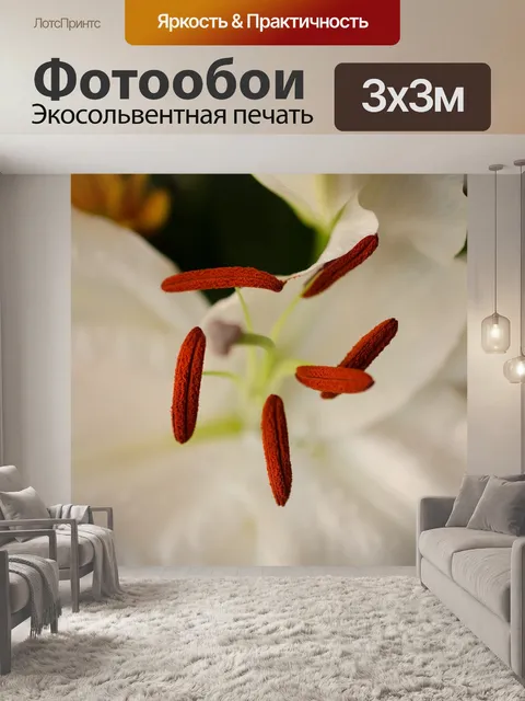 Фотообои Цветок
