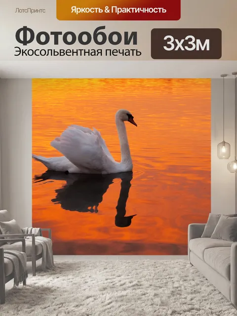 Фотообои Лебедь закат вода красный