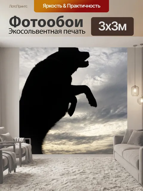 Фотообои Собака