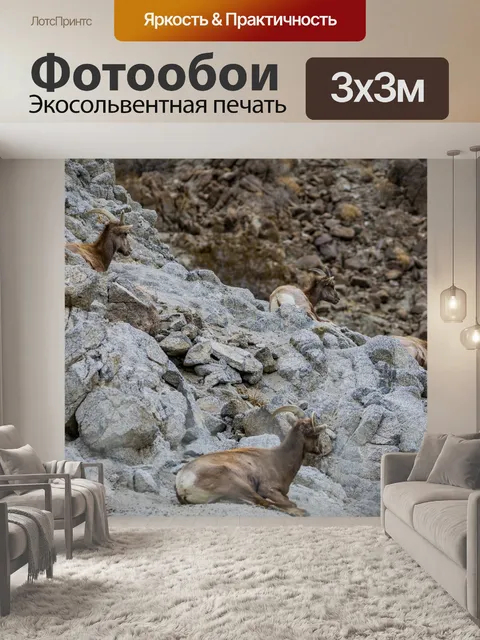 Фотообои Горный козел