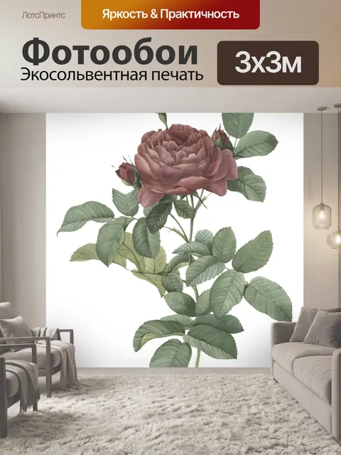Фотообои Роза