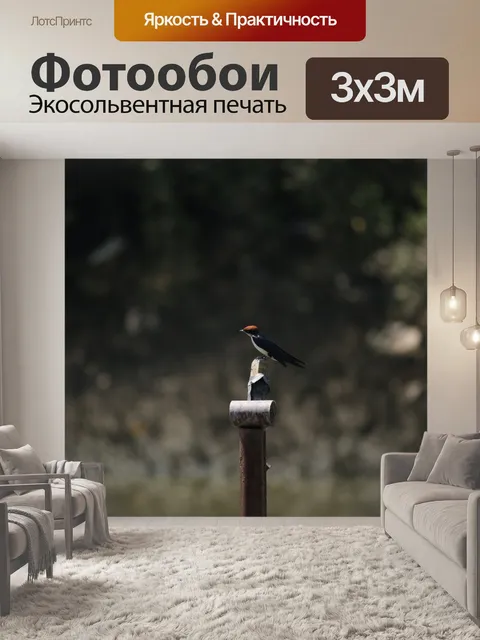 Фотообои Полет
