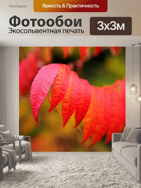 Фотообои Листья