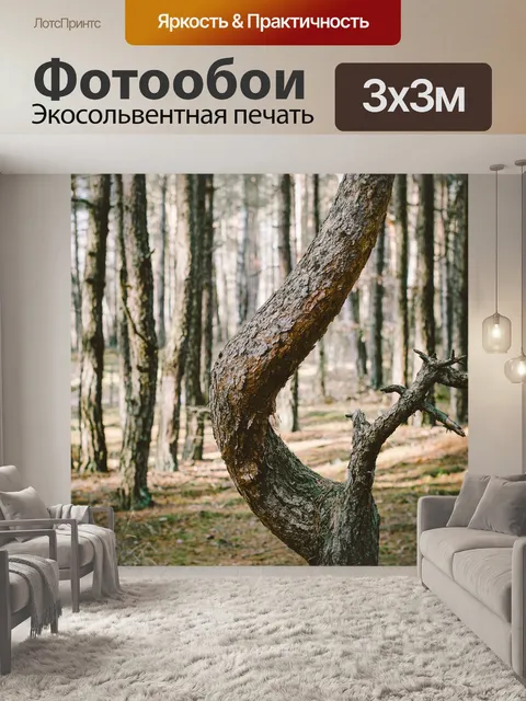 Фотообои Лес