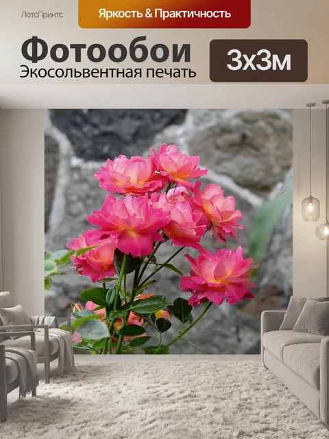 Фотообои Розы