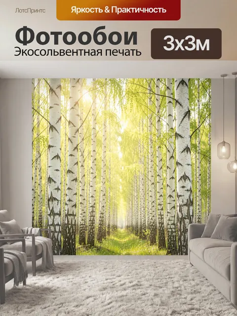 Фотообои Берёзовая аллея в солнечном свете