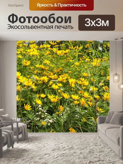 Фотообои Полевые цветы в поле