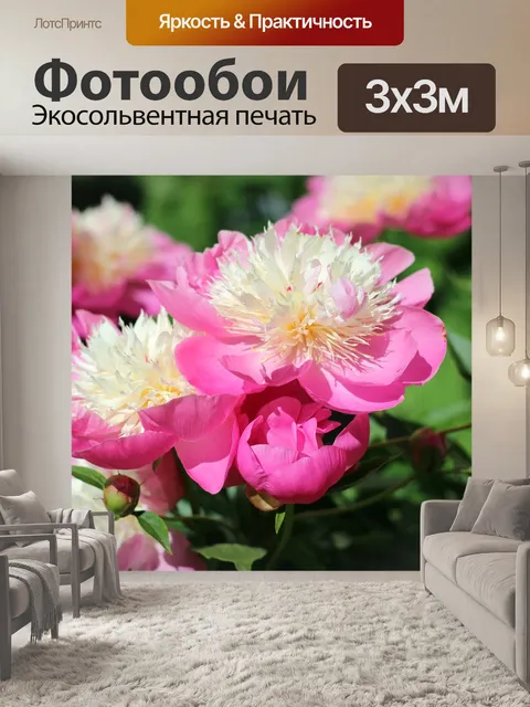 Фотообои Пионы