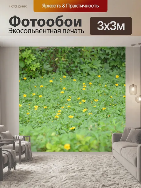 Фотообои Цветы
