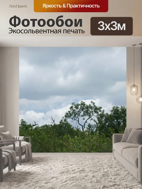 Фотообои высокое дерево на фоне облачного неба
