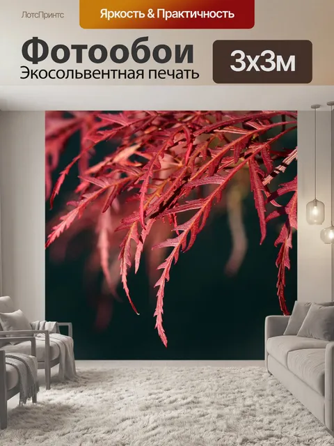 Фотообои Клен