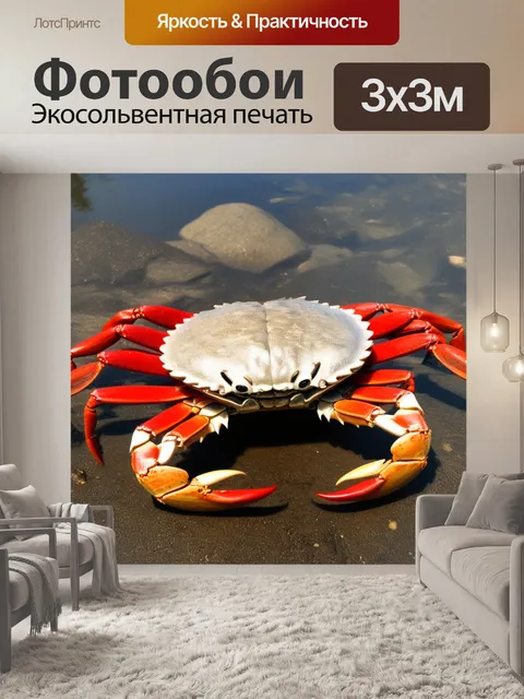 Фотообои на камнях