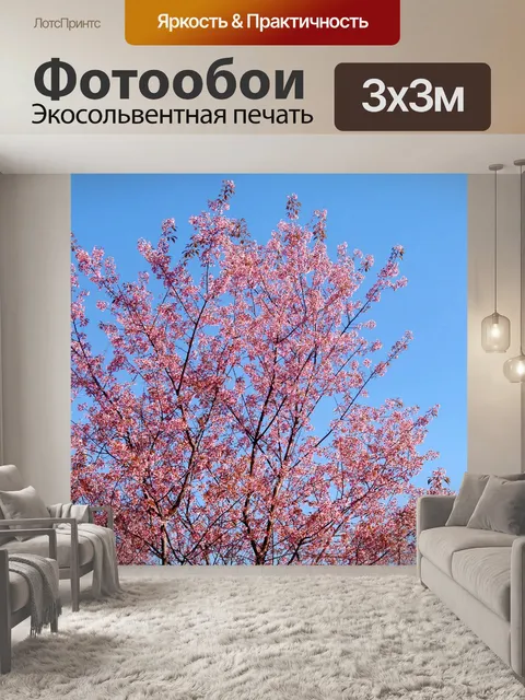 Фотообои Prunus cerasoides, дикая гималайская виш