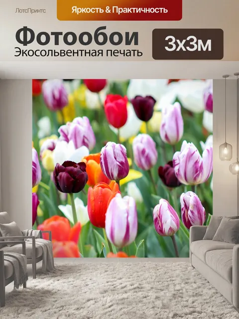 Фотообои Красочный