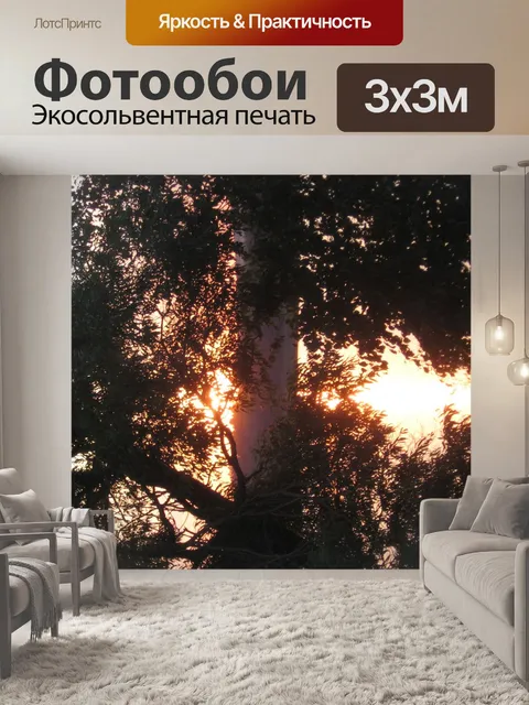 Фотообои Солнце за дерево