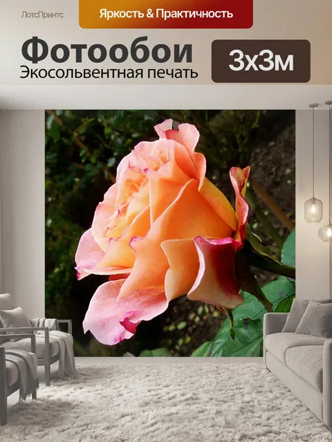 Фотообои Розы