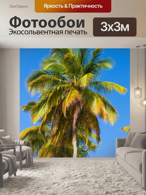 Фотообои Тропические пальмы