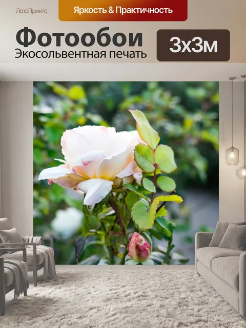 Фотообои Белый