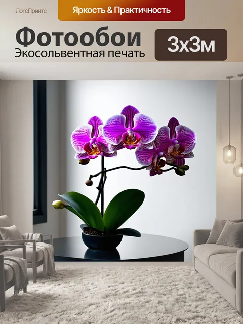 Фотообои орхидеи в минималистичном интерьере