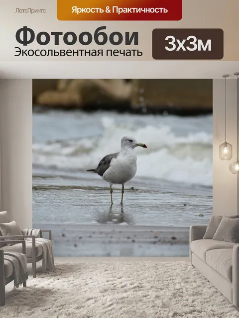 Фотообои Животное