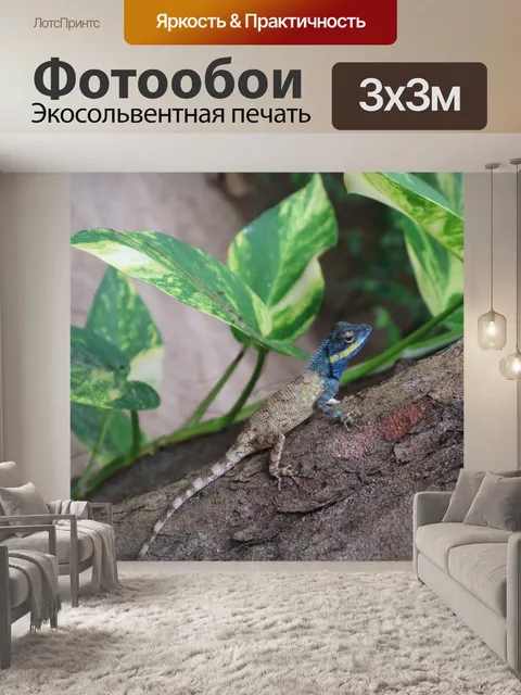 Фотообои Лист