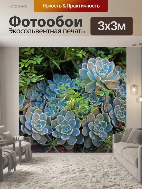 Фотообои патч суккулентов пустынной розы