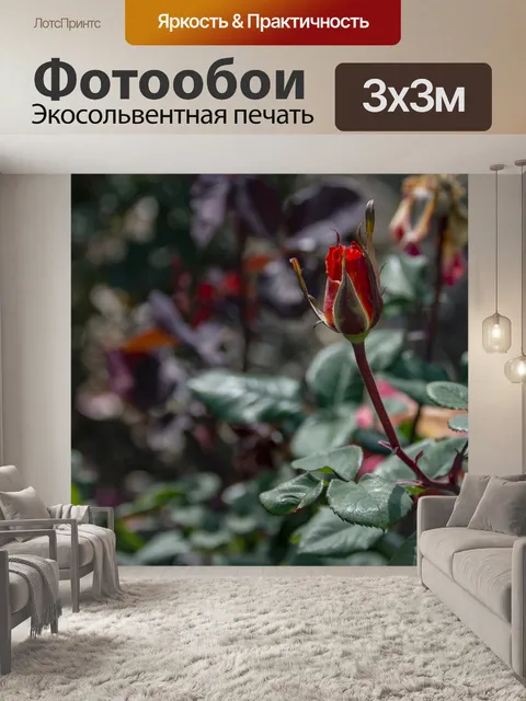 Фотообои дебютантка
