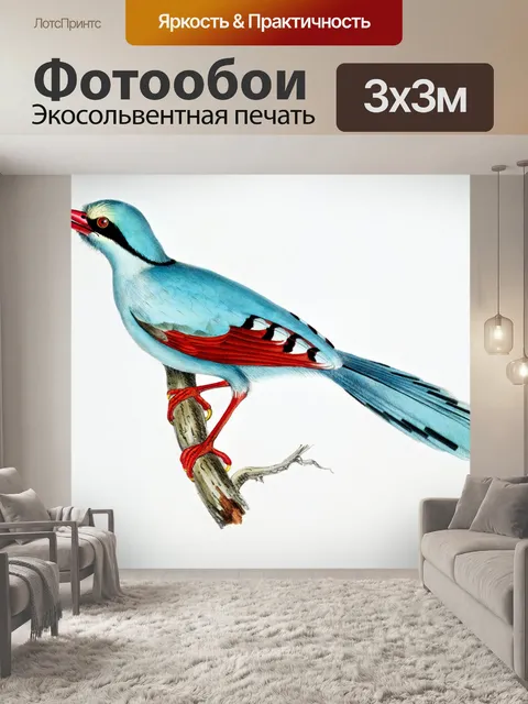 Фотообои Птица живопись винтажное искусство