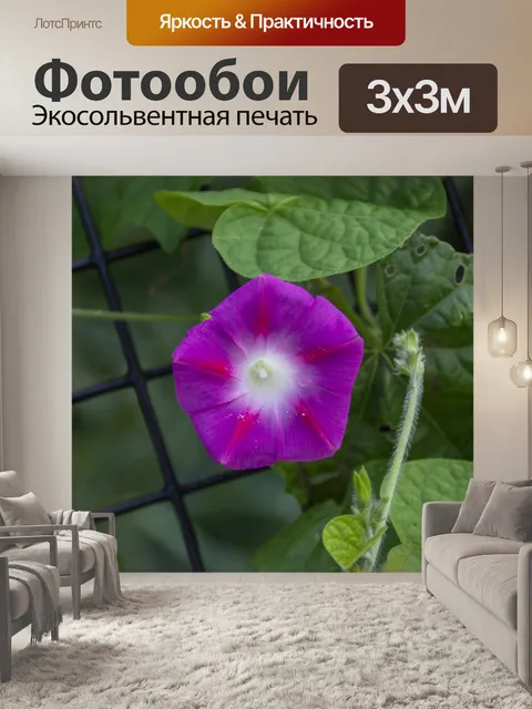 Фотообои Пляж Moonflower