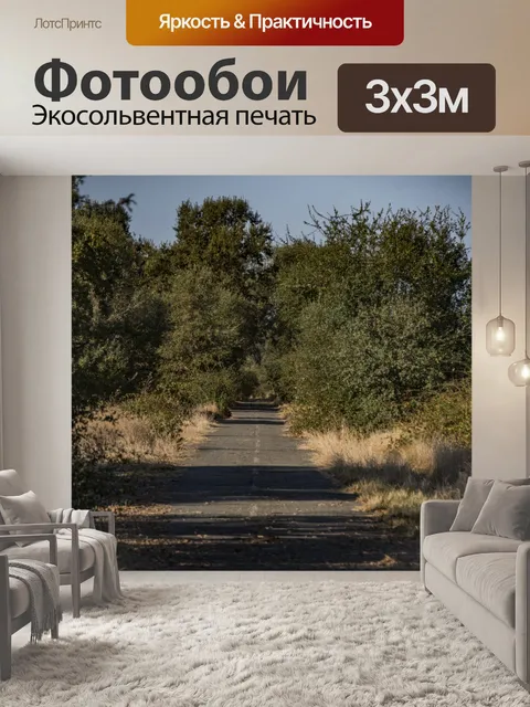 Фотообои Дорога в никуда
