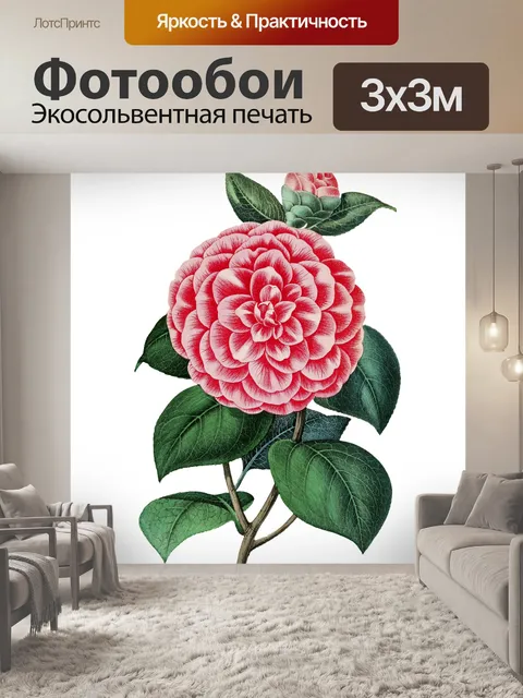 Фотообои Цветы