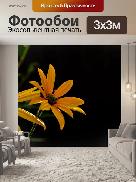 Фотообои Желтые цветы на темном фоне