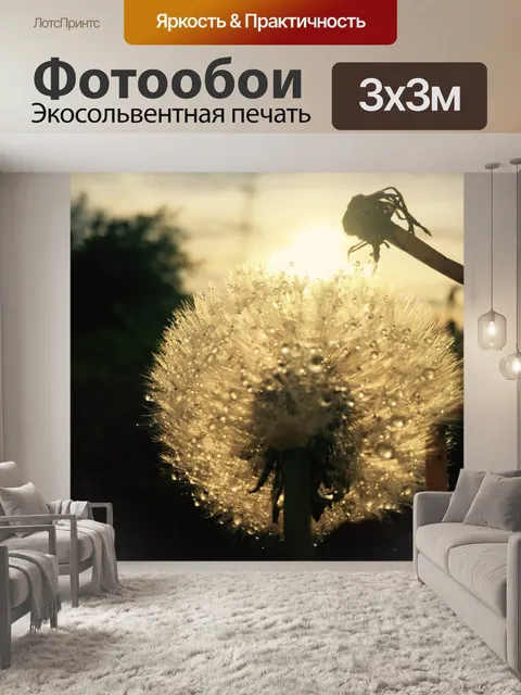 Фотообои Одуванчик
