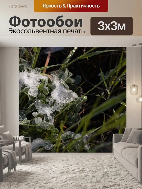 Фотообои Лед на растениях