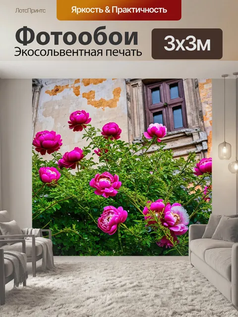 Фотообои пионы на фоне старинного здания
