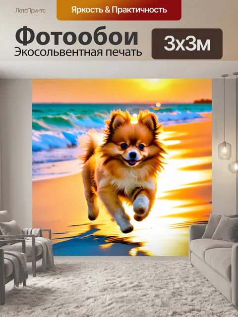 Фотообои активная сцена с померанским щенком, бегающим по пляжу на закате, его шерсть сверкает в лучах солнца