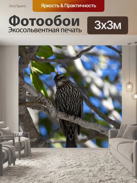 Фотообои Птица в дереве