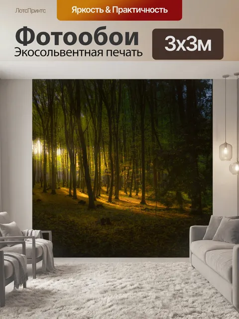 Фотообои Лес