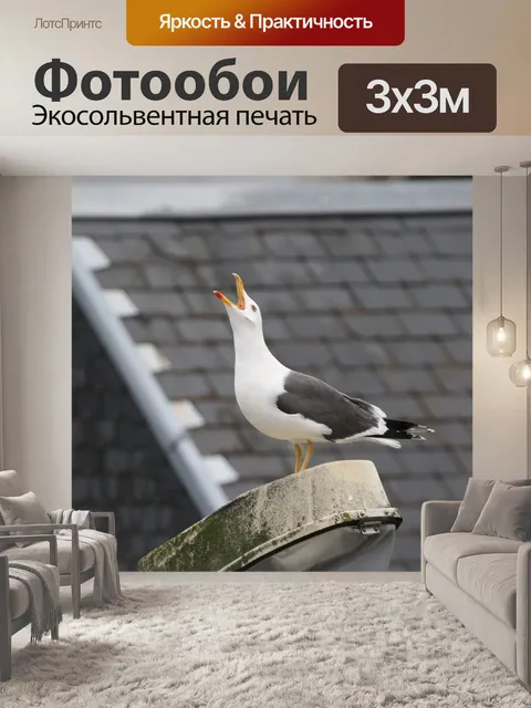 Фотообои Птица