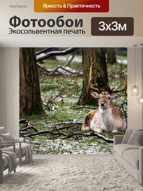 Фотообои Лес