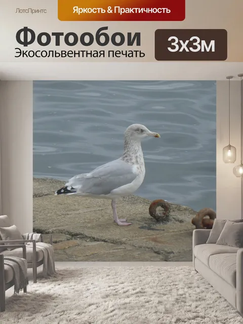 Фотообои Морская фауна