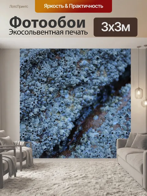 Фотообои Море