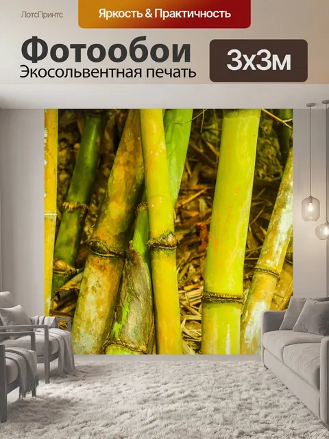 Фотообои Бамбуковый лес природа фон